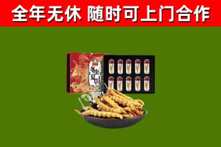 道滘镇回收冬虫夏草价格