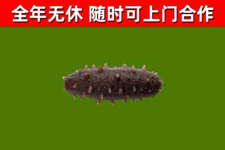 道滘镇烟酒回收干海参.jpg